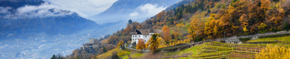 Blick auf Meran