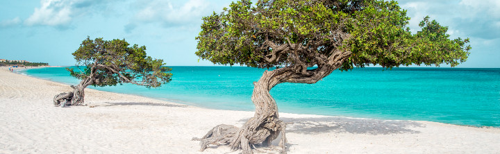 Urlaub auf Aruba zu Schnäppchenpreisen!