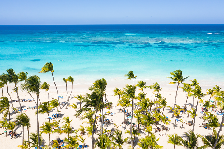 Ein malerischer Strand mit Palmen und klarem, blauem Wasser, ideal für Erholung und Entspannung.