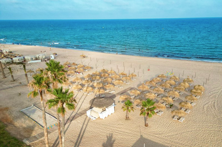 Ein Strand mit Palmen und bunten Sonnenschirmen, ideal für einen entspannten Tag am Meer.