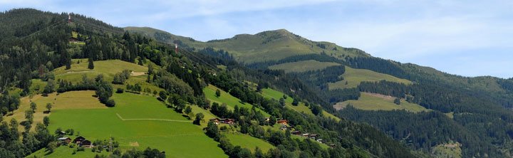 Österreich mit Hund