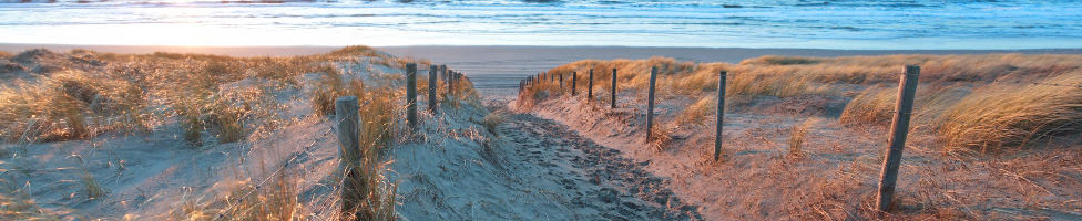 Landschaft von Zandvoort mit Hollandrad